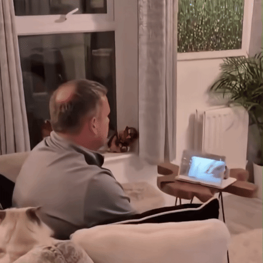 PocketCinema™ - Vezi mai bine, Stai mai comod