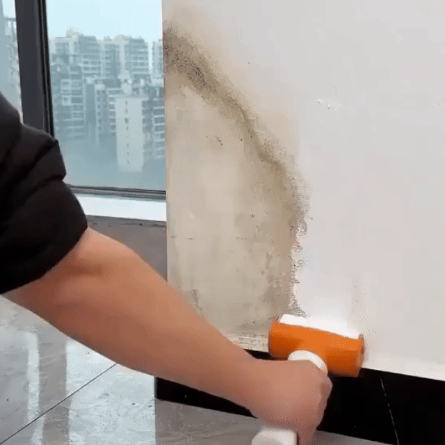 CleanRoll™ - Pereți curați instant, fără zugrav Ofertivo
